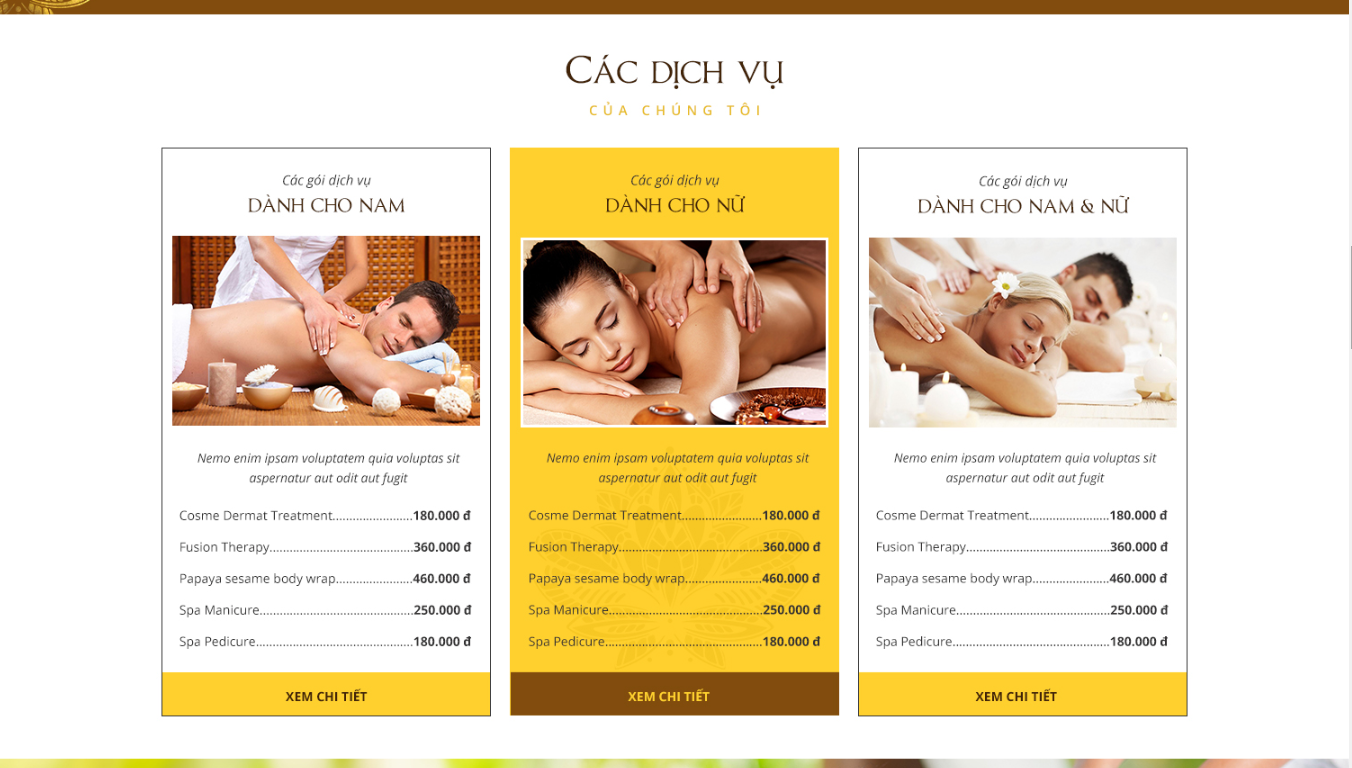 thiết kế website ngành thẩm mỹ viện, spa, massage